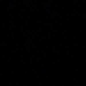 Meet your Posher, Maxime